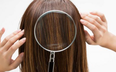 hair analysis